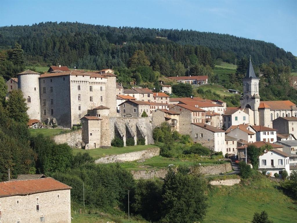 Chateau Des Marcilly Talaru Chalmazel-Jeansagniere Kültér fotó