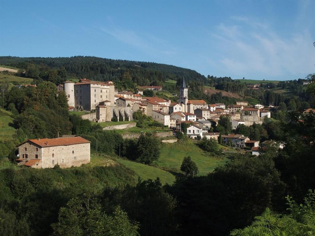 Chateau Des Marcilly Talaru Chalmazel-Jeansagniere Kültér fotó