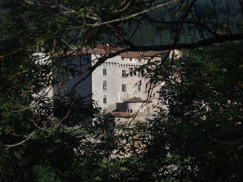 Chateau Des Marcilly Talaru Chalmazel-Jeansagniere Kültér fotó