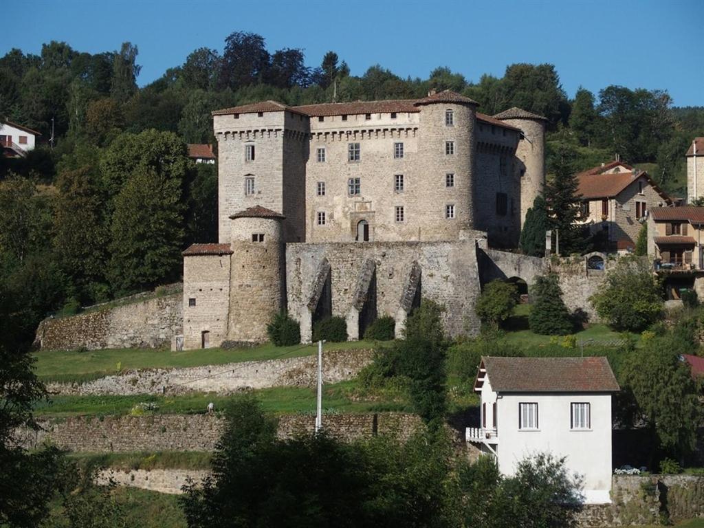 Chateau Des Marcilly Talaru Chalmazel-Jeansagniere Kültér fotó